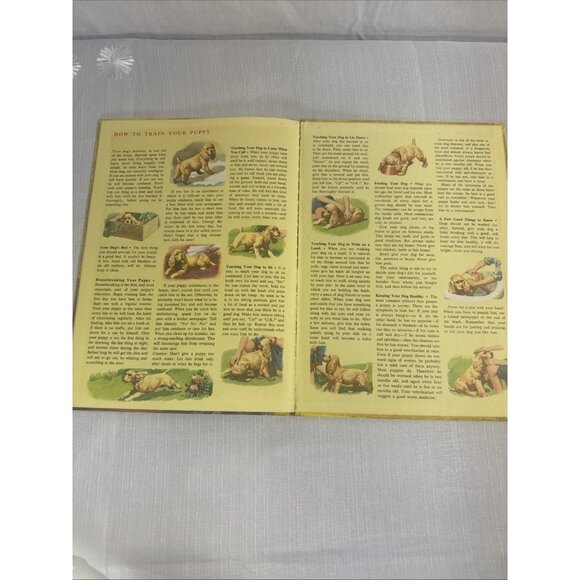 Vintage The Big Book Of Dogs 1952 HC By Felix Sutton Antique HTF Children’s Kids - Picture 16 of 16